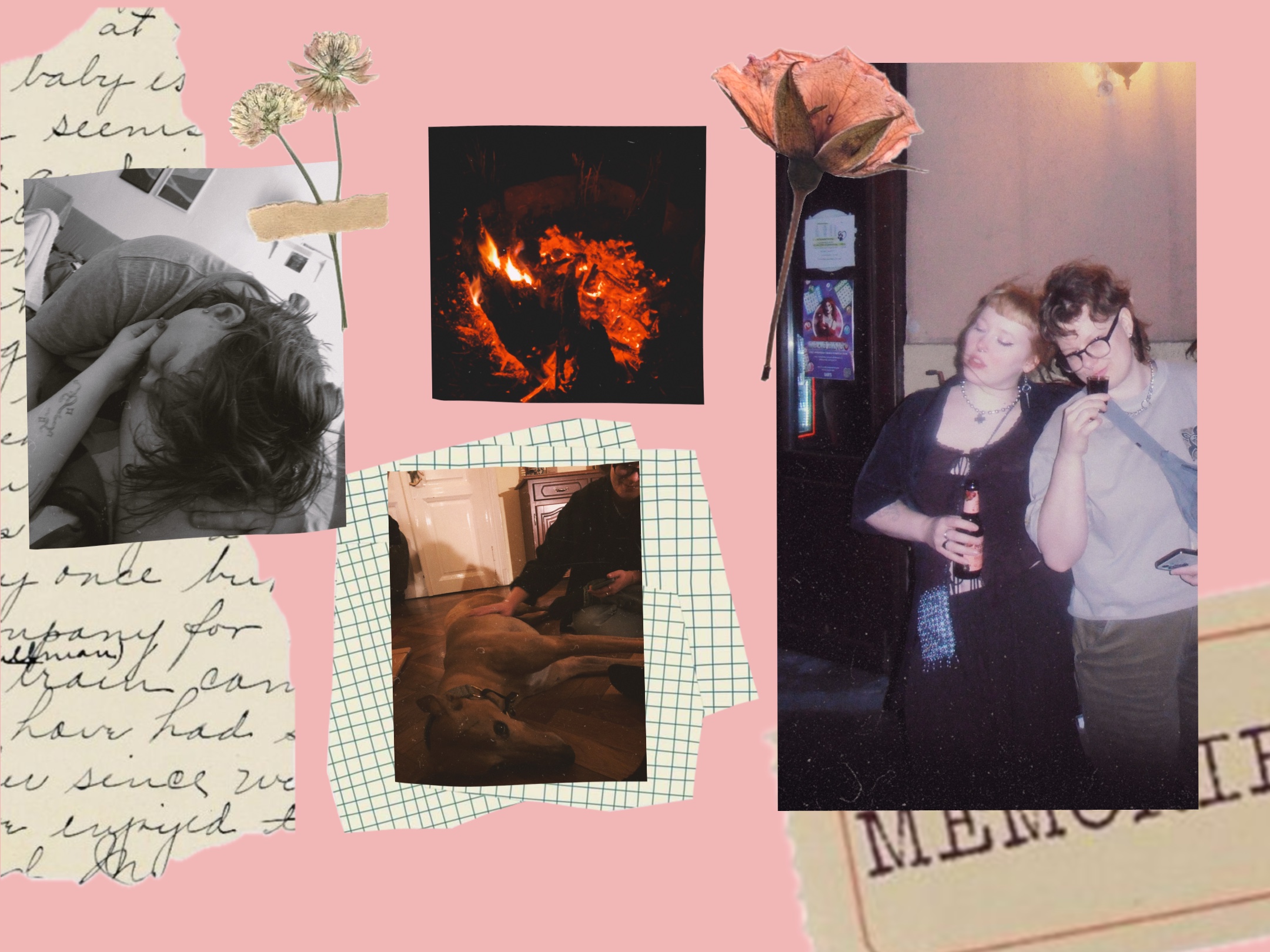 Collage 3